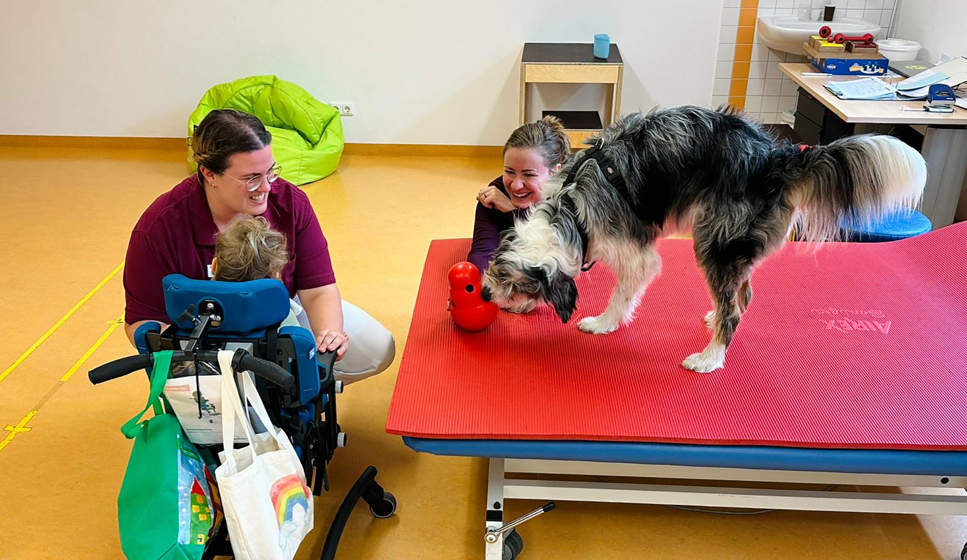 Hundetherapie für schwerbetroffene Patienten der Schön Klinik Vogtareuth