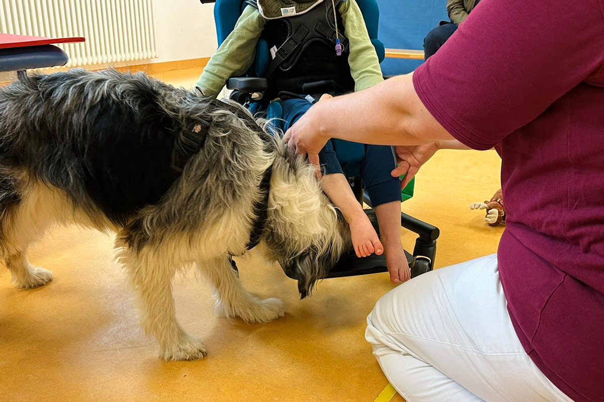 Hundetherapie für schwerbetroffene Patienten der Schön Klinik Vogtareuth